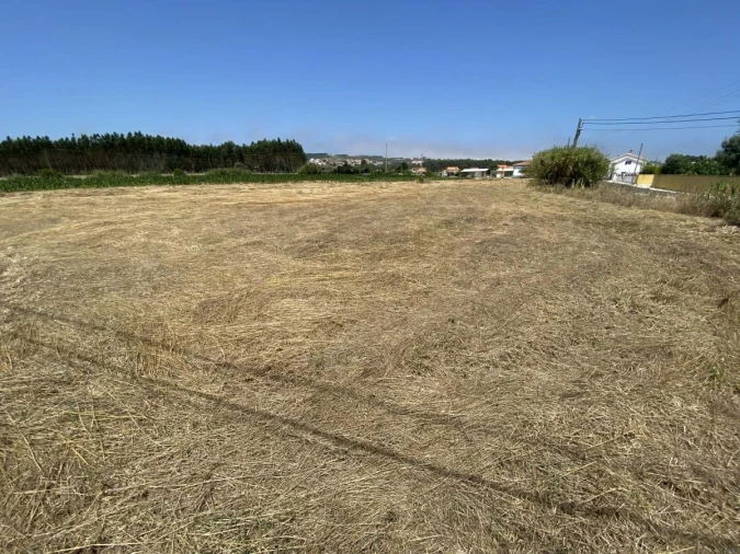Terreno para Venda em Caldas da Rainha - Santo Onofre e Serra do Bouro Foto 17