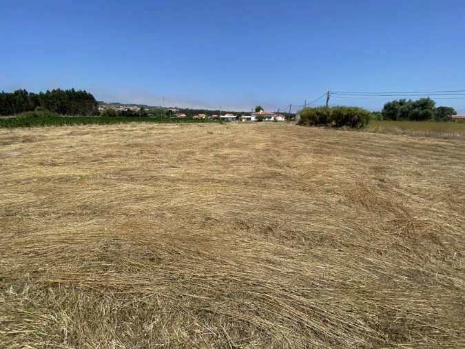 Terreno para Venda em Caldas da Rainha - Santo Onofre e Serra do Bouro Foto 16