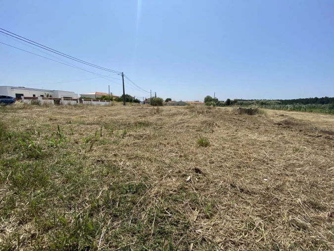 Terreno para Venda em Caldas da Rainha - Santo Onofre e Serra do Bouro Foto 9