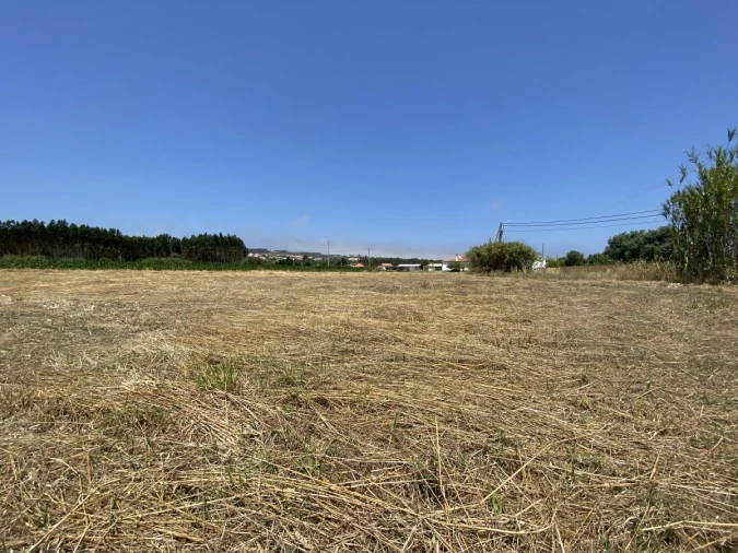 Terreno para Venda em Caldas da Rainha - Santo Onofre e Serra do Bouro Foto 14