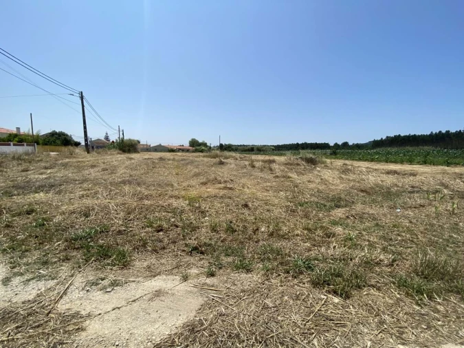 Terreno para Venda em Caldas da Rainha - Santo Onofre e Serra do Bouro Foto 8