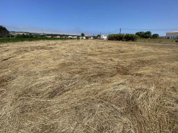 Terreno para Venda em Caldas da Rainha - Santo Onofre e Serra do Bouro Foto 15