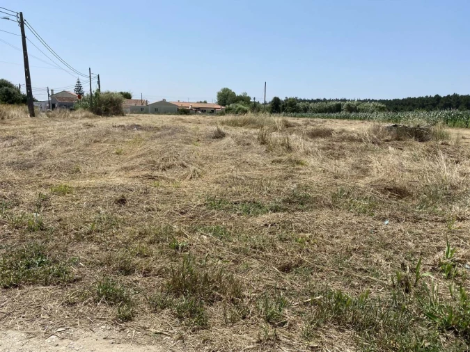 Terreno para Venda em Caldas da Rainha - Santo Onofre e Serra do Bouro Foto 3
