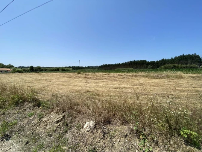 Terreno para Venda em Caldas da Rainha - Santo Onofre e Serra do Bouro Foto 11
