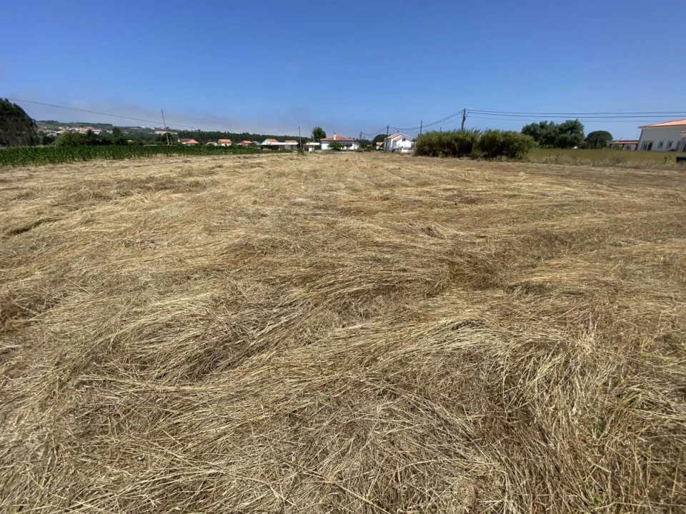 Terreno para Venda em Caldas da Rainha - Santo Onofre e Serra do Bouro Foto 15