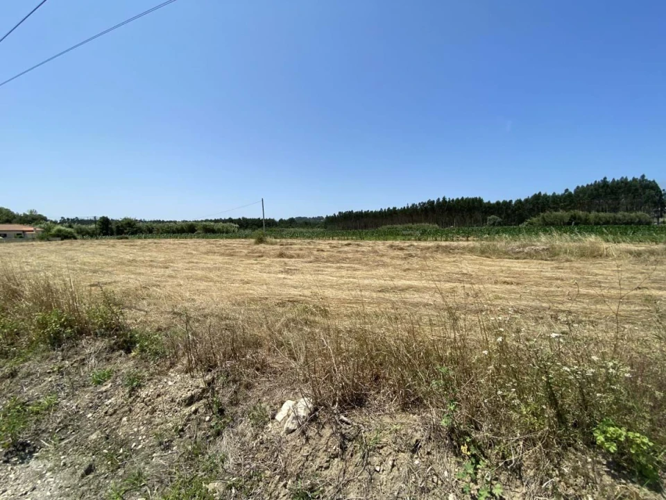 Terreno para Venda em Caldas da Rainha - Santo Onofre e Serra do Bouro Foto 11