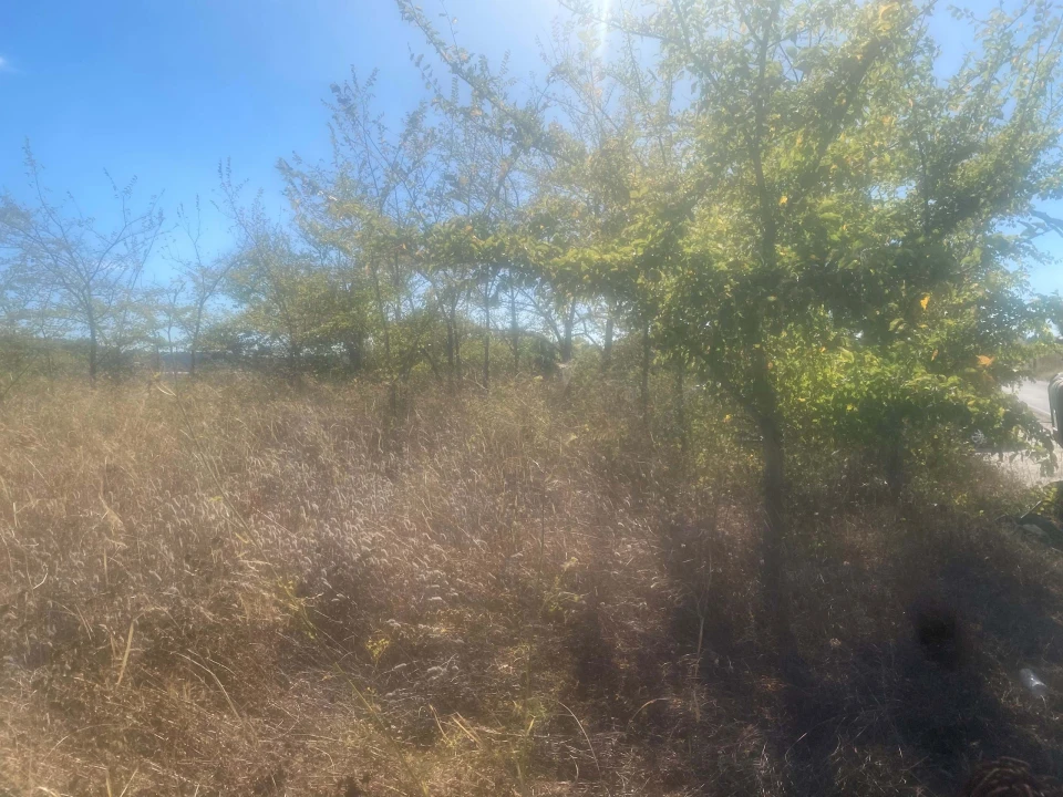 Terreno para Venda em Alcanena e Vila Moreira Foto 10