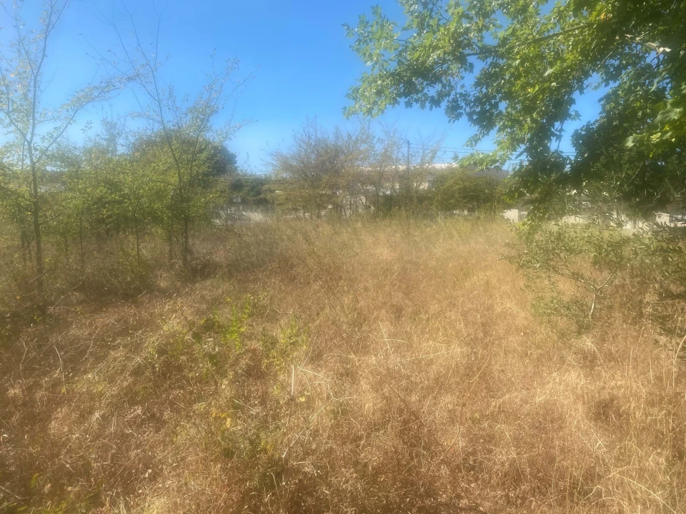 Terreno para Venda em Alcanena e Vila Moreira Foto 22