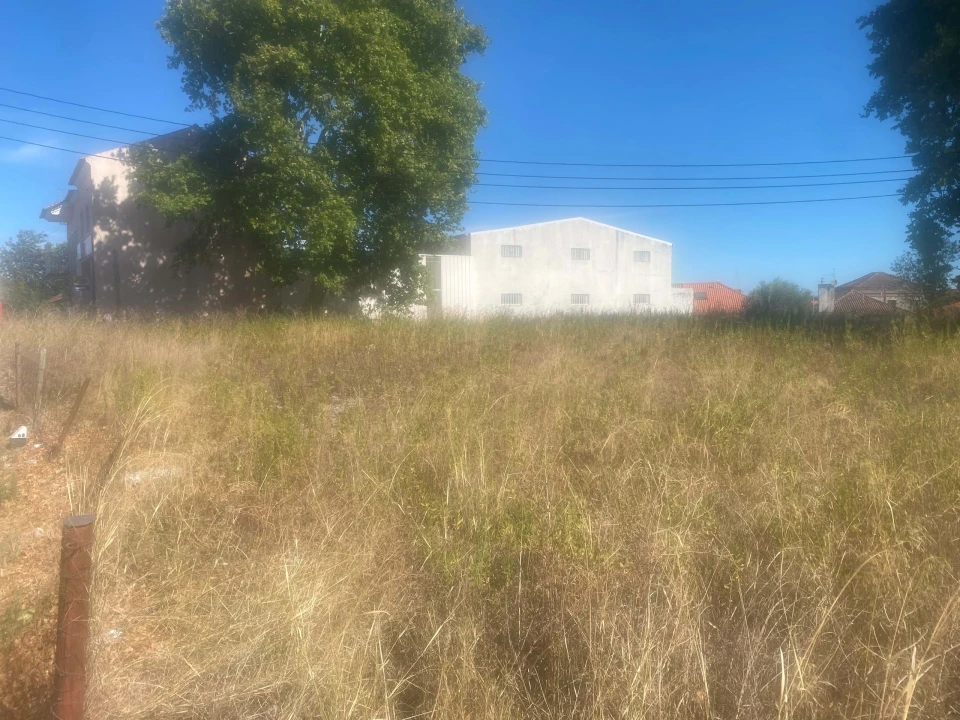 Terreno para Venda em Alcanena e Vila Moreira Foto 5