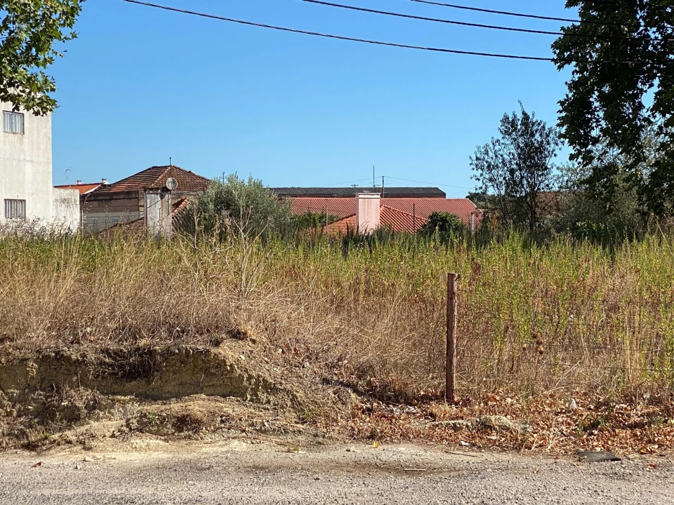 Terreno para Venda em Alcanena e Vila Moreira Foto 1