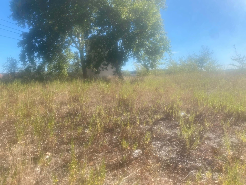 Terreno para Venda em Alcanena e Vila Moreira Foto 4