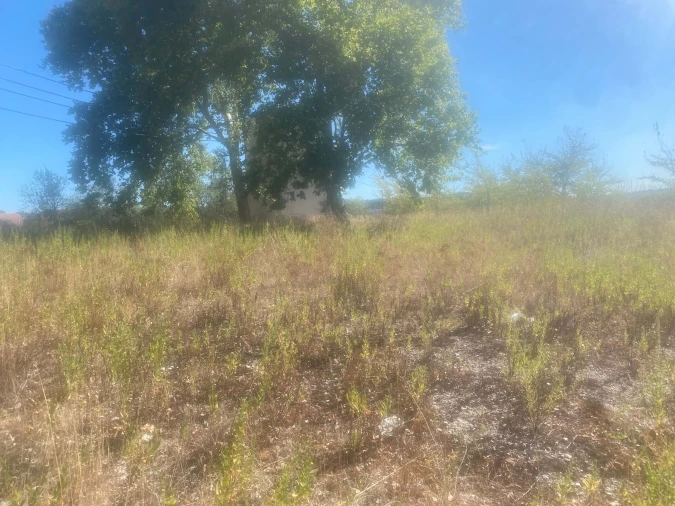 Terreno para Venda em Alcanena e Vila Moreira Foto 3