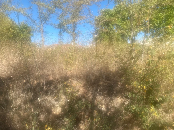 Terreno para Venda em Alcanena e Vila Moreira Foto 11