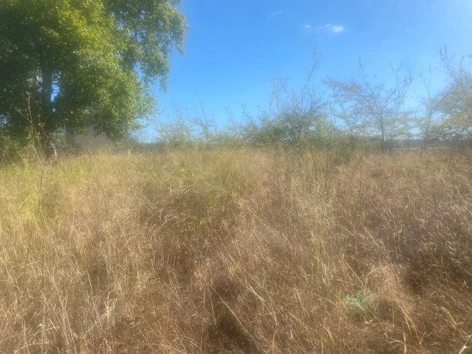 Terreno para Venda em Alcanena e Vila Moreira Foto 6