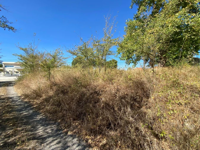 Terreno para Venda em Alcanena e Vila Moreira Foto 25