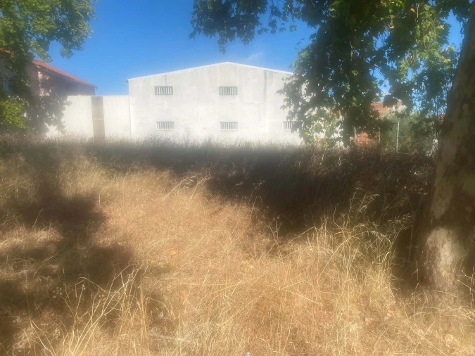 Terreno para Venda em Alcanena e Vila Moreira Foto 21