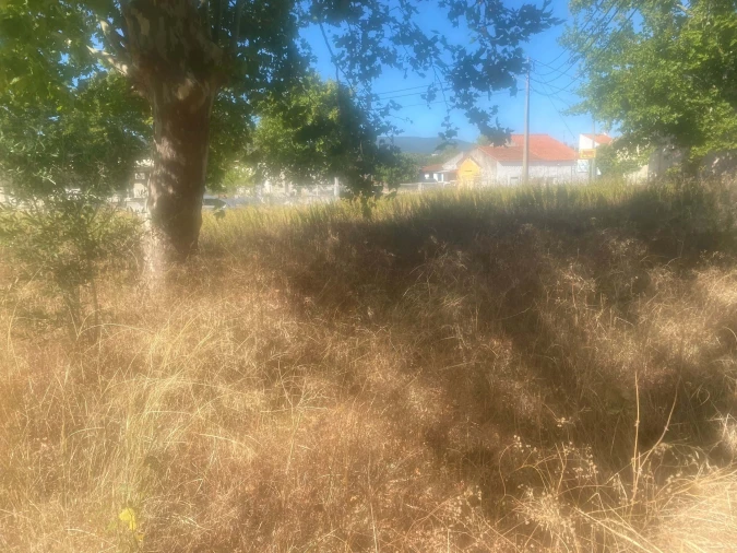 Terreno para Venda em Alcanena e Vila Moreira Foto 20