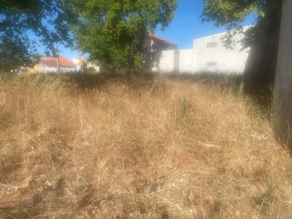 Terreno para Venda em Alcanena e Vila Moreira Foto 17