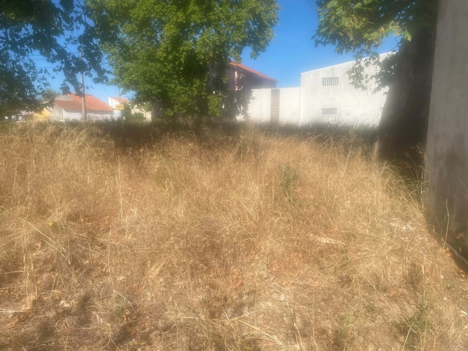 Terreno para Venda em Alcanena e Vila Moreira Foto 16