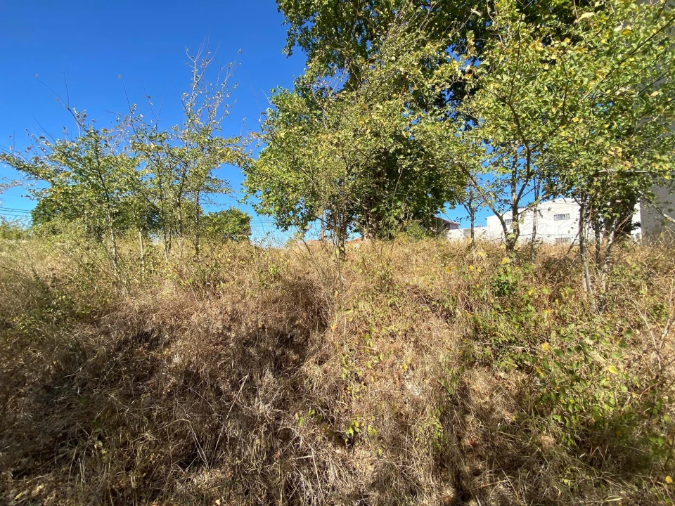 Terreno para Venda em Alcanena e Vila Moreira Foto 24