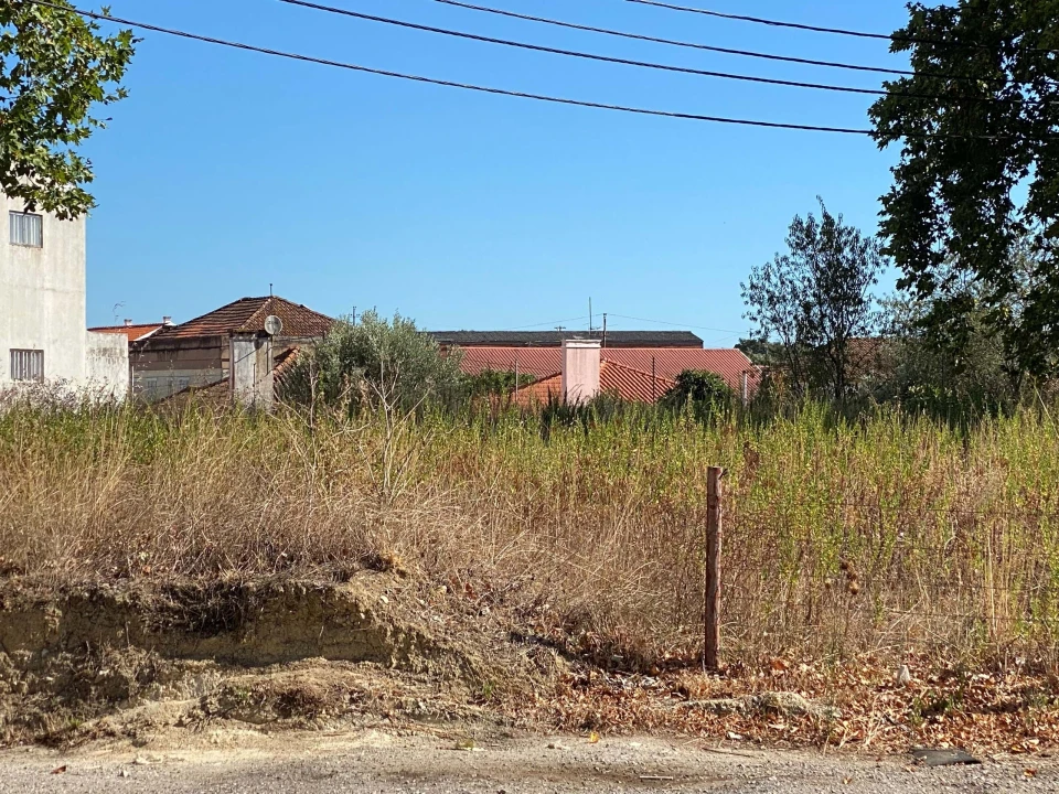 Terreno para Venda em Alcanena e Vila Moreira Foto 27