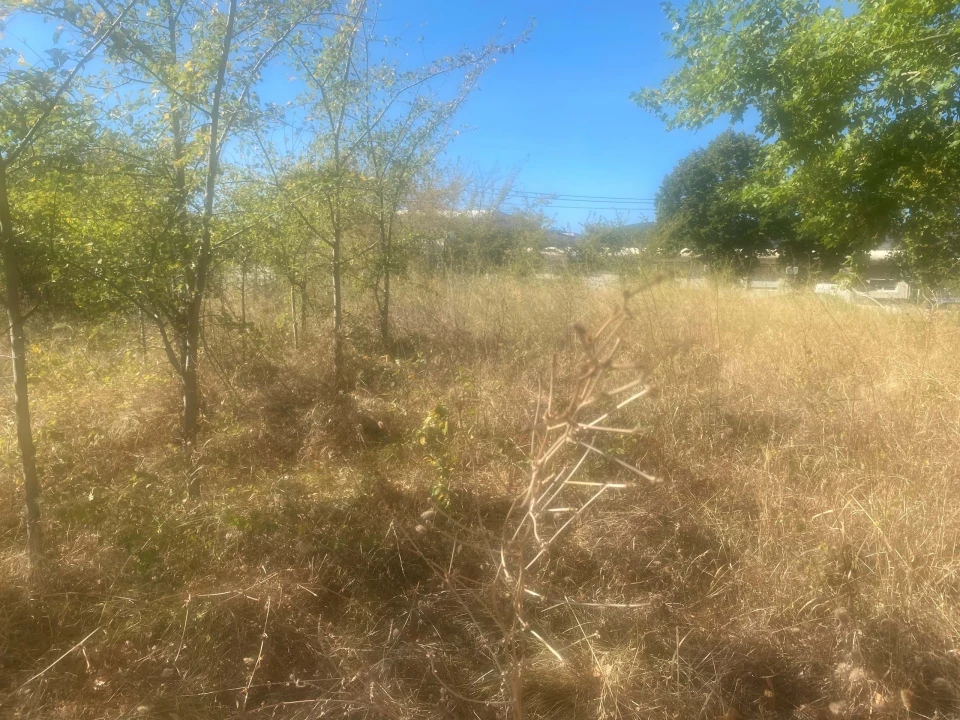 Terreno para Venda em Alcanena e Vila Moreira Foto 15