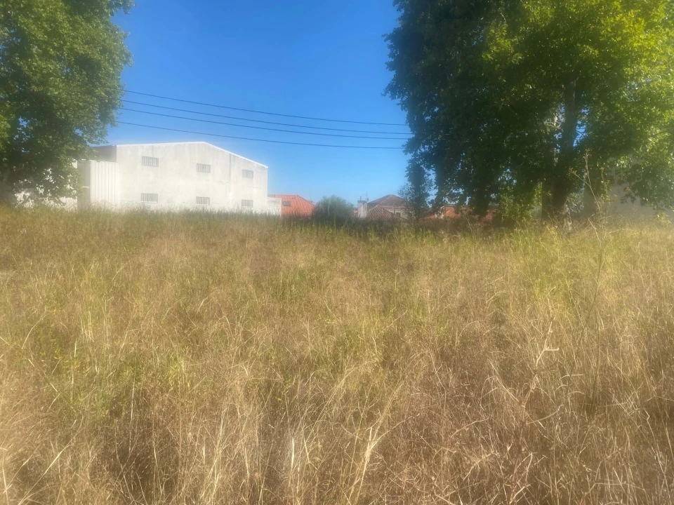 Terreno para Venda em Alcanena e Vila Moreira Foto 2