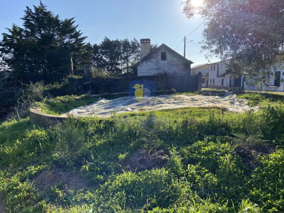 Terreno para Venda em Salir de Matos Foto 2