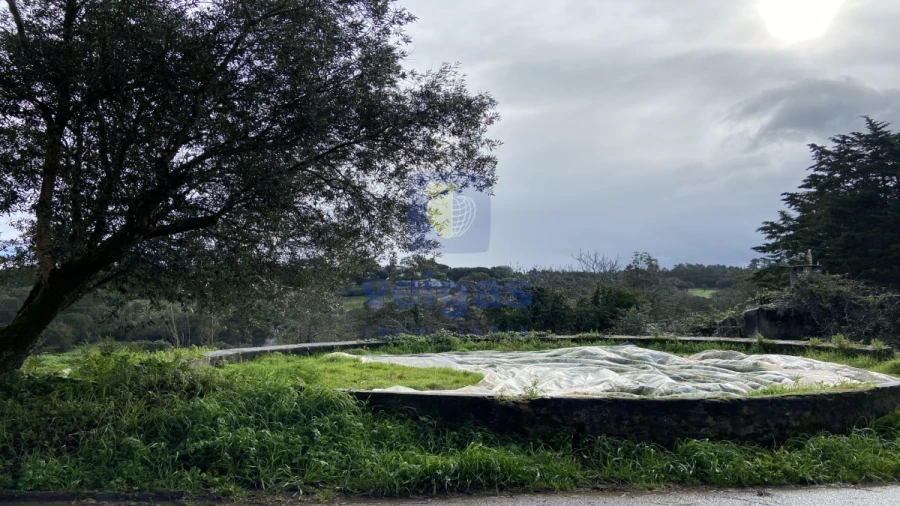 Terreno para Venda em Salir de Matos Foto 6