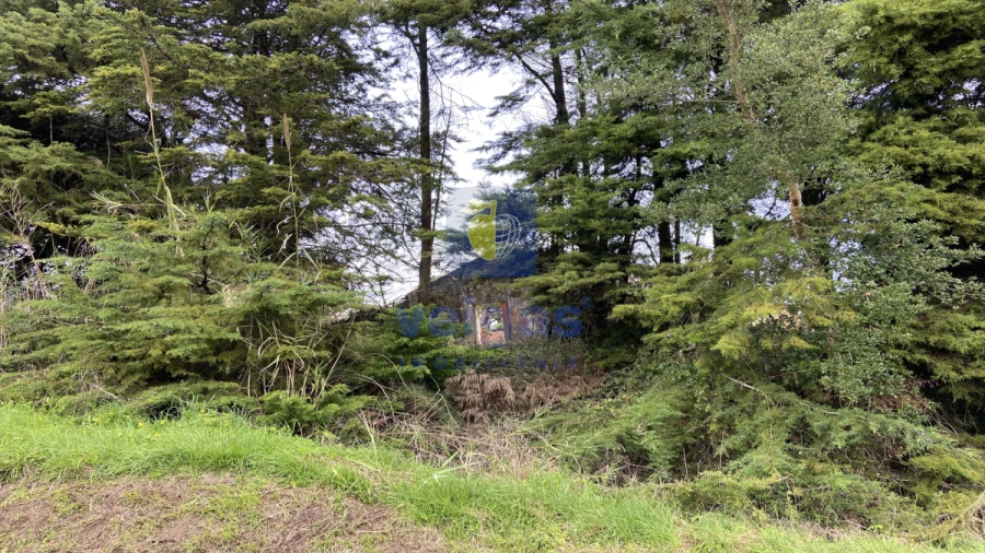 Terreno para Venda em Salir de Matos Foto 9