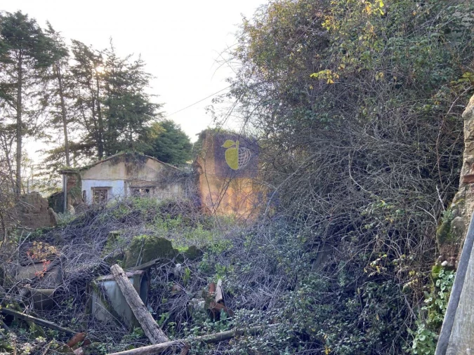 Terreno para Venda em Salir de Matos Foto 3