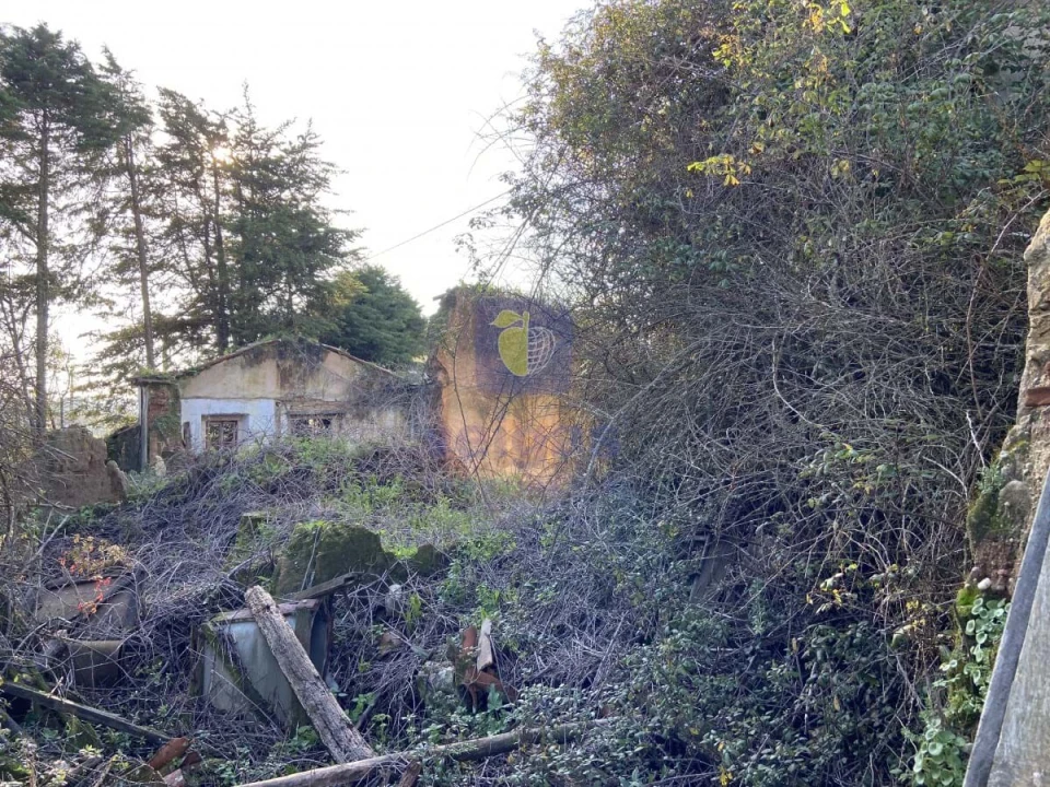 Terreno para Venda em Salir de Matos Foto 3