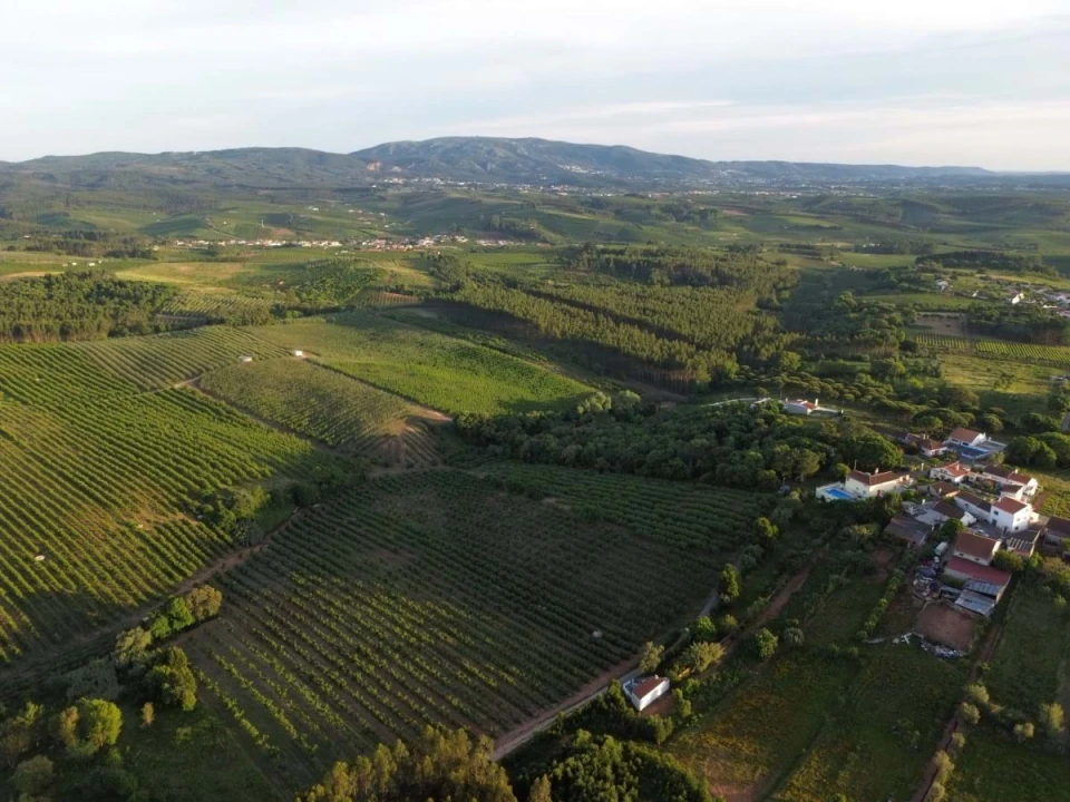 Terreno para Venda em Peral Foto 4