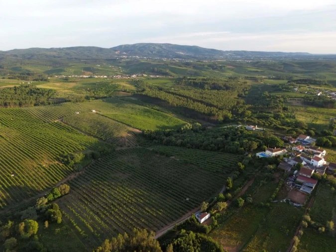 Terreno para Venda em Peral Foto 4