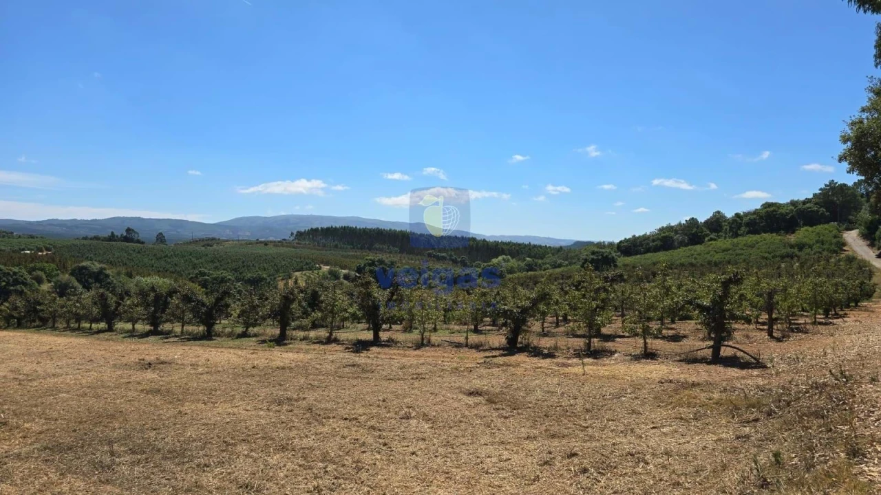 Terreno para Venda em Peral Foto 26