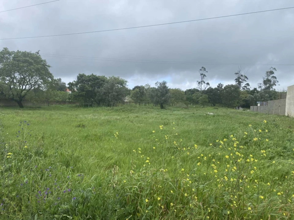 Terreno para Venda em Turquel Foto 8