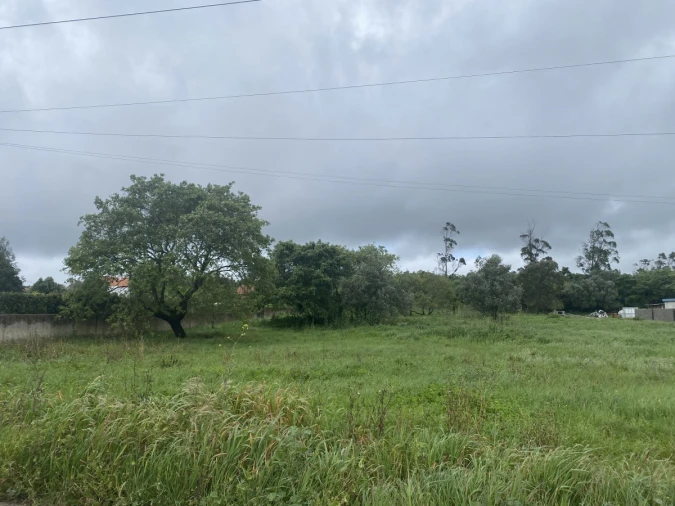 Terreno para Venda em Turquel Foto 14