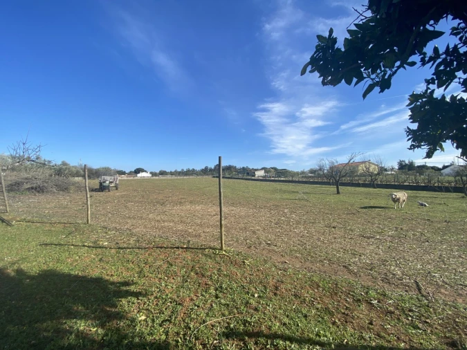 Moradia T3 para Venda em Povoa da Isenta Foto 16