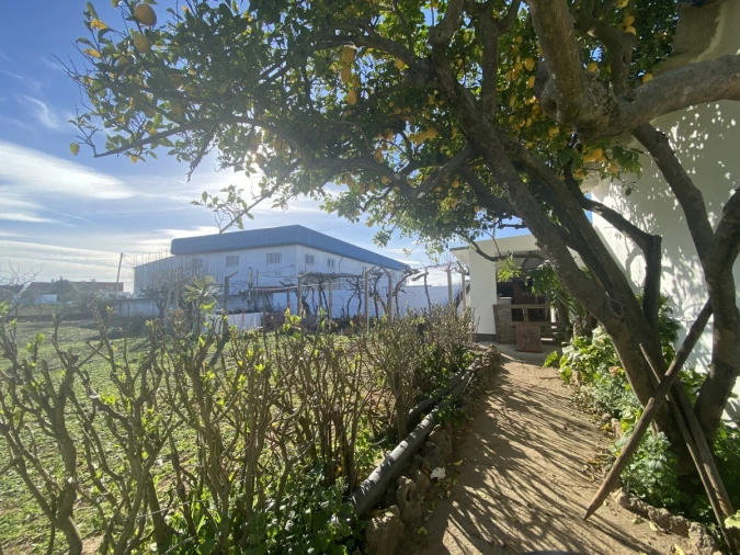 Moradia T3 para Venda em Povoa da Isenta Foto 24