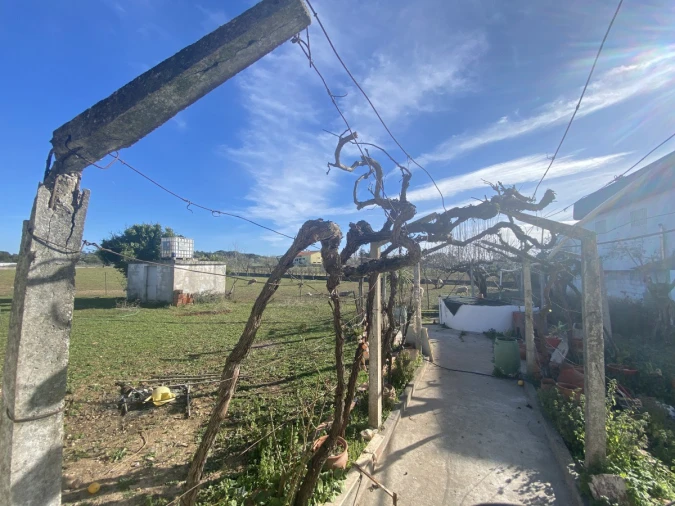 Moradia T3 para Venda em Povoa da Isenta Foto 43