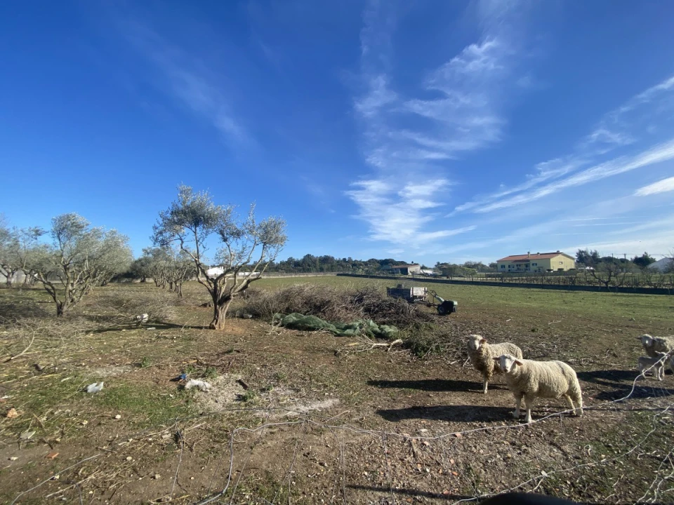 Moradia T3 para Venda em Povoa da Isenta Foto 11