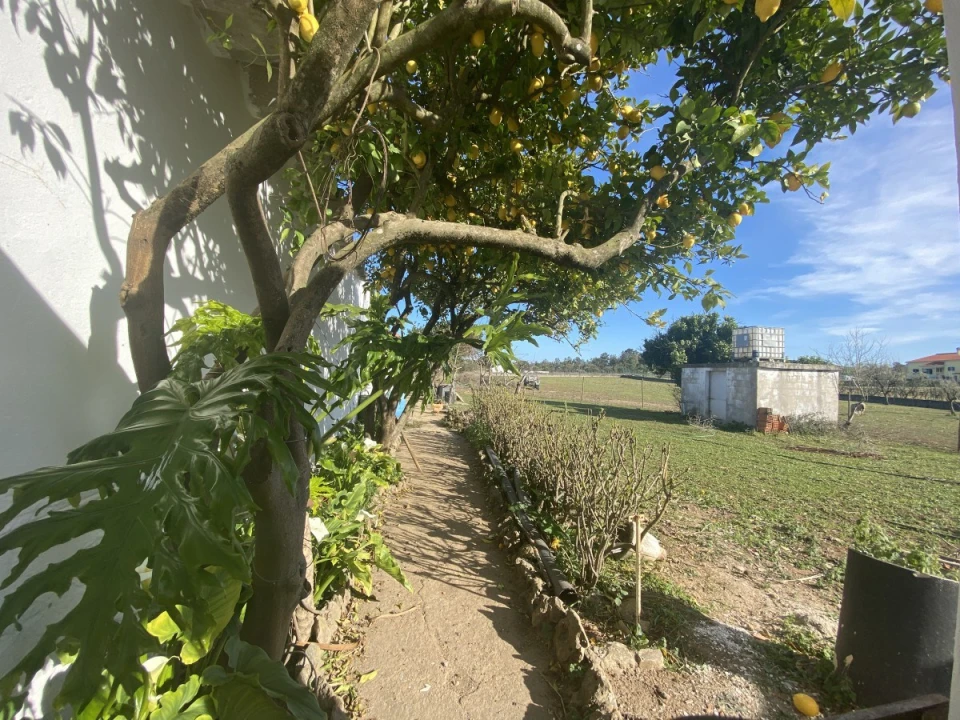 Moradia T3 para Venda em Povoa da Isenta Foto 10