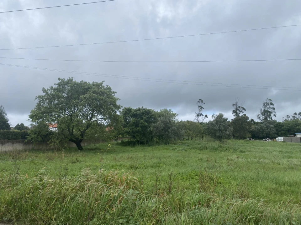 Terreno para Venda em Turquel Foto 9