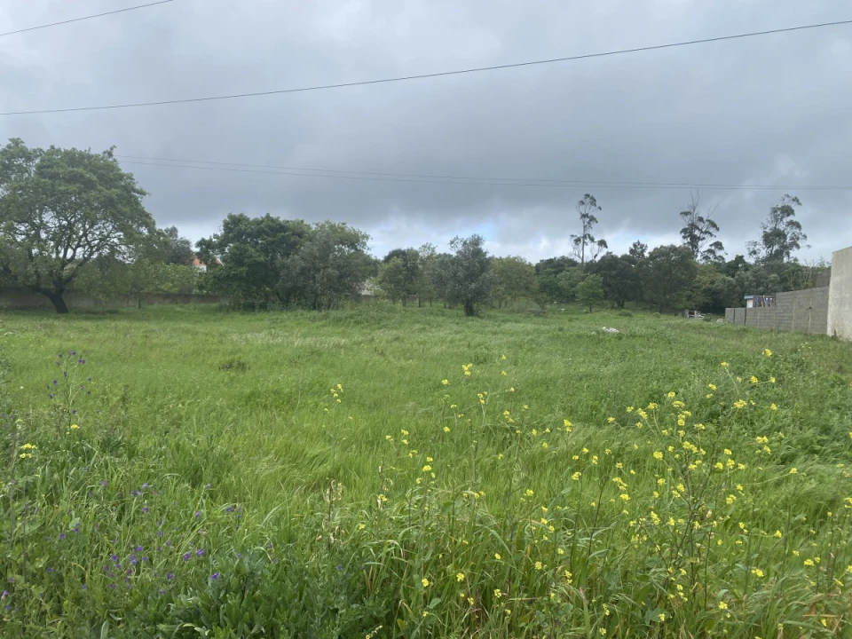 Terreno para Venda em Turquel Foto 9