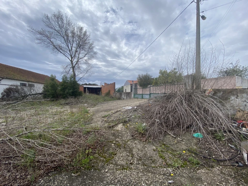 Armazém para Venda em Malhou, Louriceira e Espinheiro Foto 29