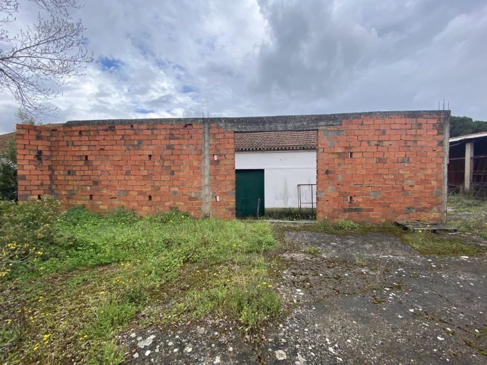 Armazém para Venda em Malhou, Louriceira e Espinheiro Foto 14
