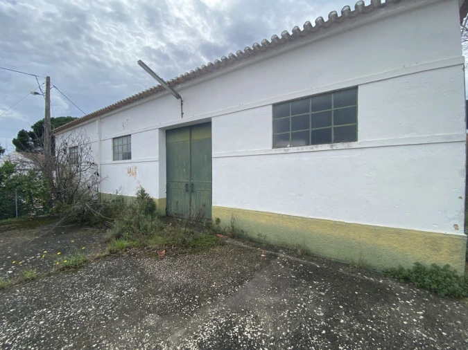 Armazém para Venda em Malhou, Louriceira e Espinheiro Foto 21