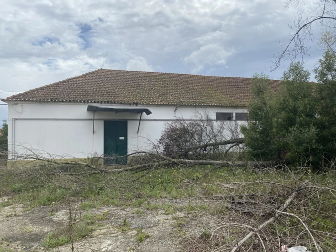 Armazém para Venda em Malhou, Louriceira e Espinheiro Foto 25