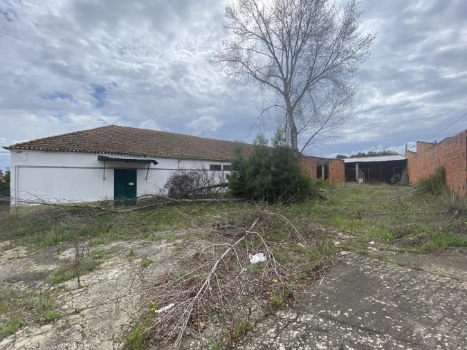 Armazém para Venda em Malhou, Louriceira e Espinheiro Foto 26