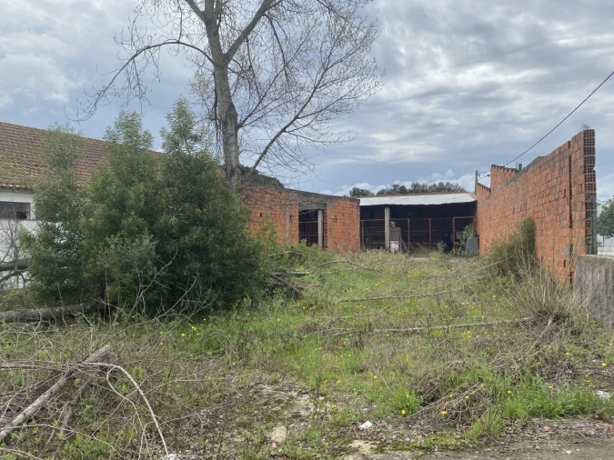 Armazém para Venda em Malhou, Louriceira e Espinheiro Foto 24
